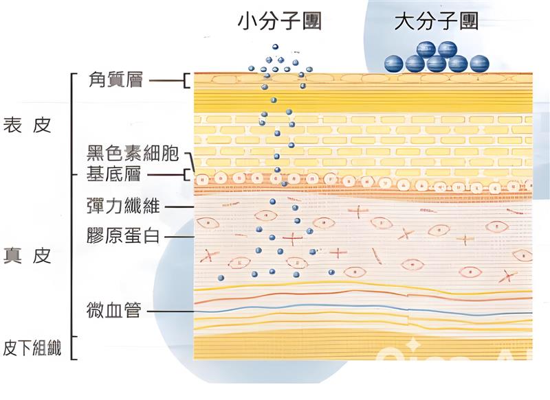 熱銷產品分享 : 牛奶浴